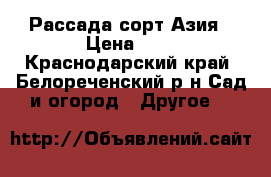Рассада сорт Азия › Цена ­ 3 - Краснодарский край, Белореченский р-н Сад и огород » Другое   